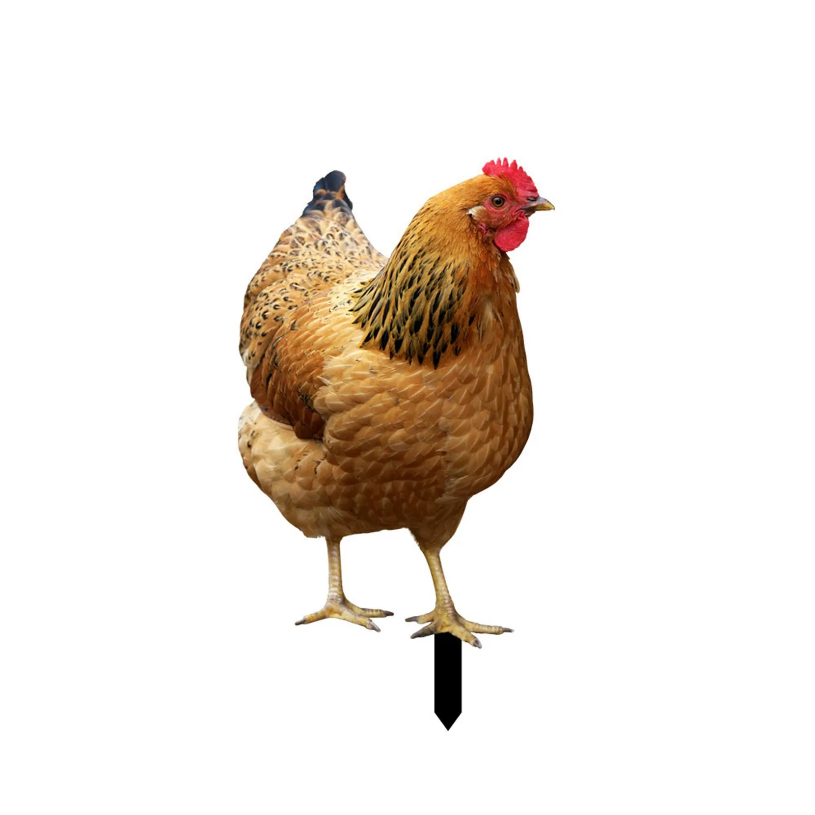 2D Garden Statue Chicken Stakes For Yard Decor Hen Figurine For Patio Backyard Home Outdoor Decoration Animals Sculptures
