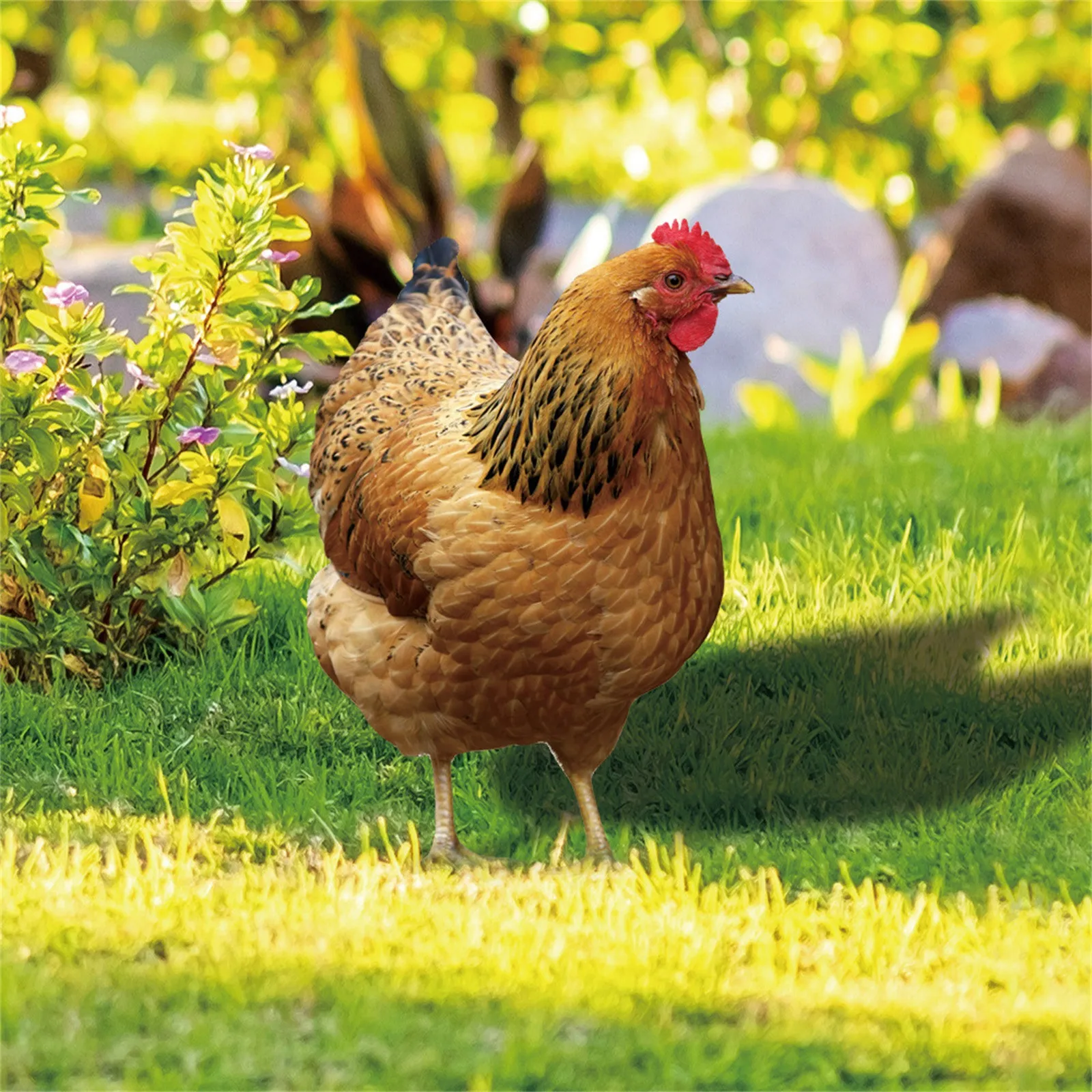 2D Garden Statue Chicken Stakes For Yard Decor Hen Figurine For Patio Backyard Home Outdoor Decoration Animals Sculptures