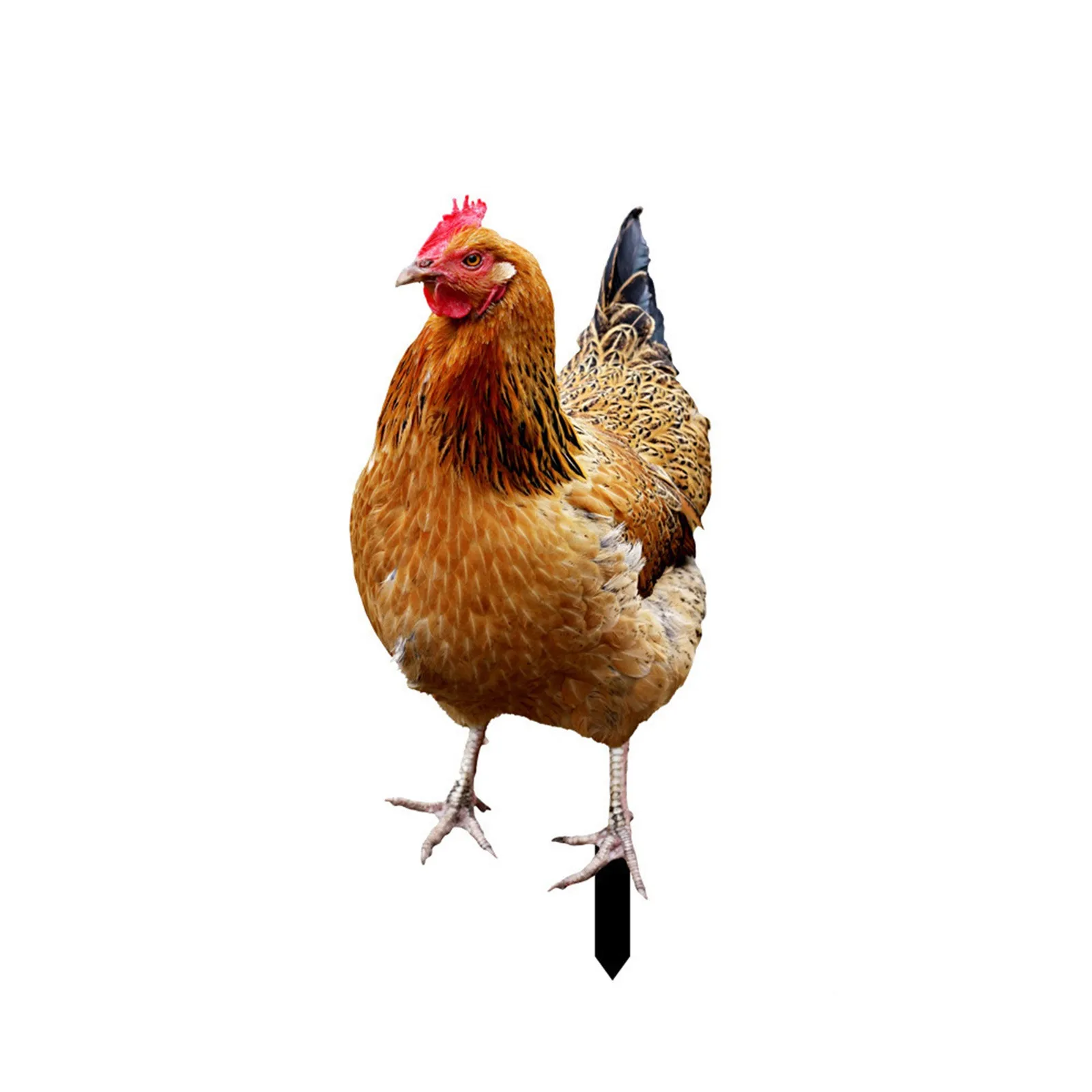 2D Garden Statue Chicken Stakes For Yard Decor Hen Figurine For Patio Backyard Home Outdoor Decoration Animals Sculptures