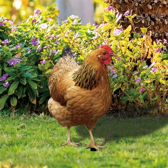 2D Garden Statue Chicken Stakes For Yard Decor Hen Figurine For Patio Backyard Home Outdoor Decoration Animals Sculptures - Image 3