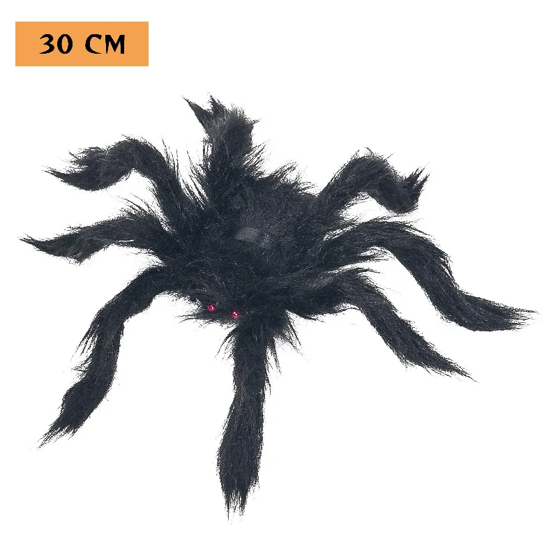 30cm