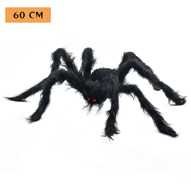 60cm