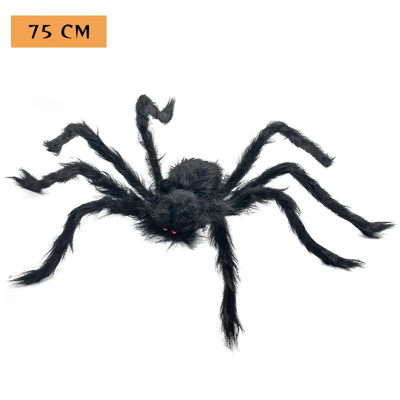 75cm