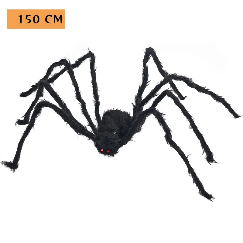 150cm