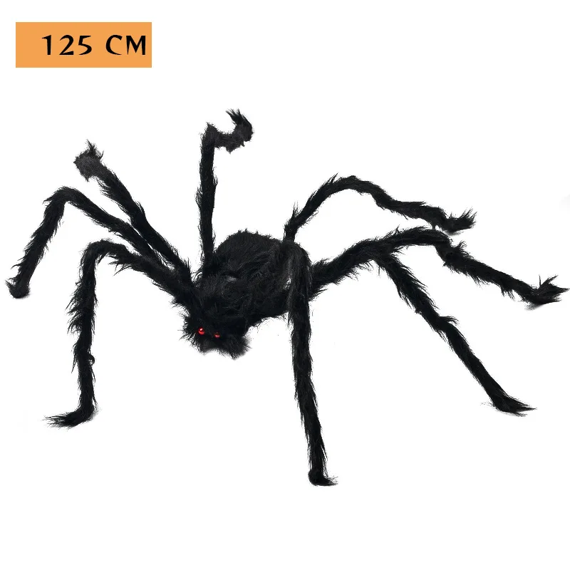 125cm