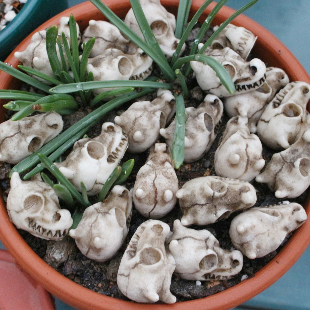 Dragon Bone Skull Set 20, Halloween Themed Resin Skull, Flowerpot Paving Stone, Outdoor Landscape Decoration, Flowerpot Filling