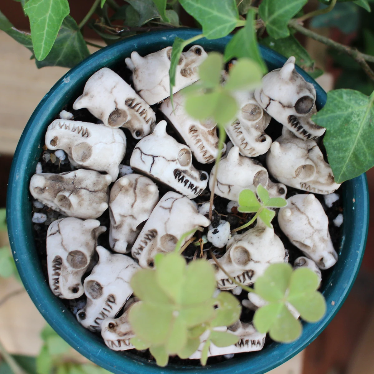 Dragon Bone Skull Set 20, Halloween Themed Resin Skull, Flowerpot Paving Stone, Outdoor Landscape Decoration, Flowerpot Filling