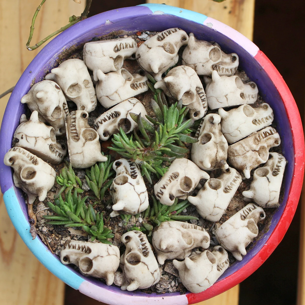 Dragon Bone Skull Set 20, Halloween Themed Resin Skull, Flowerpot Paving Stone, Outdoor Landscape Decoration, Flowerpot Filling