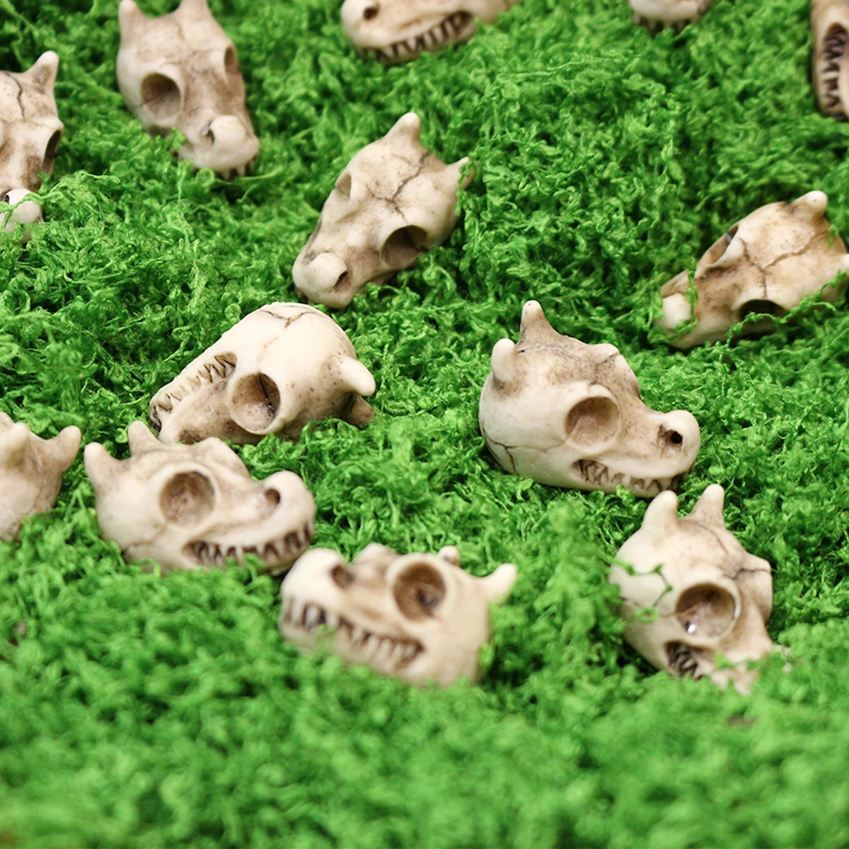 Dragon Bone Skull Set 20, Halloween Themed Resin Skull, Flowerpot Paving Stone, Outdoor Landscape Decoration, Flowerpot Filling