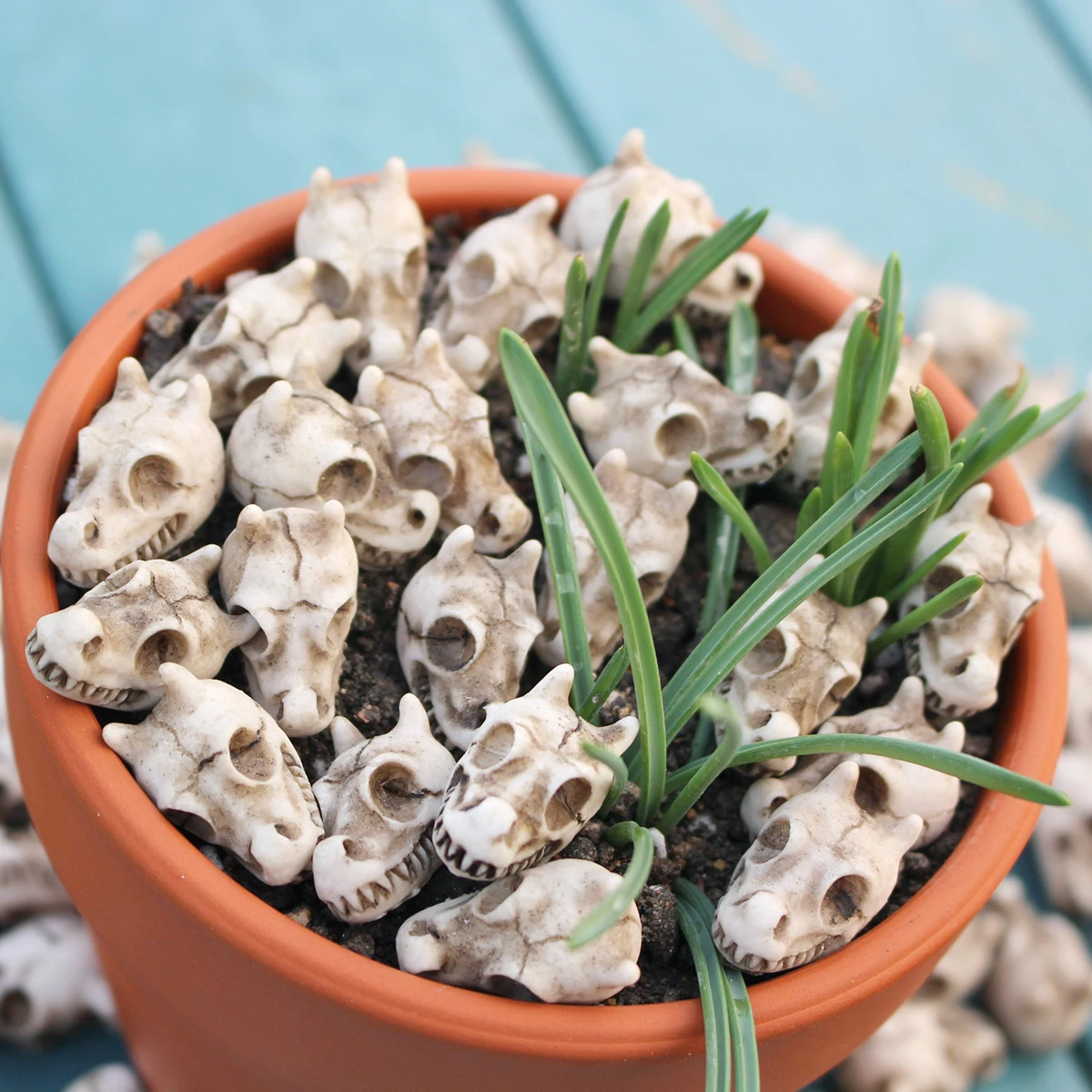 Dragon Bone Skull Set 20, Halloween Themed Resin Skull, Flowerpot Paving Stone, Outdoor Landscape Decoration, Flowerpot Filling