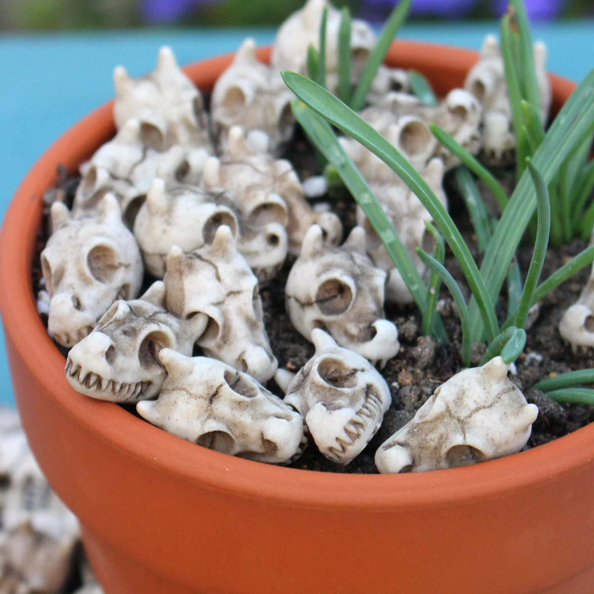 Dragon Bone Skull Set 20, Halloween Themed Resin Skull, Flowerpot Paving Stone, Outdoor Landscape Decoration, Flowerpot Filling