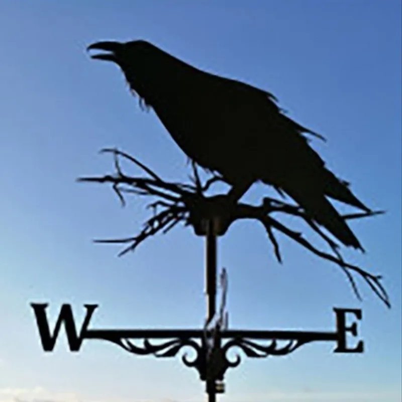 Crow