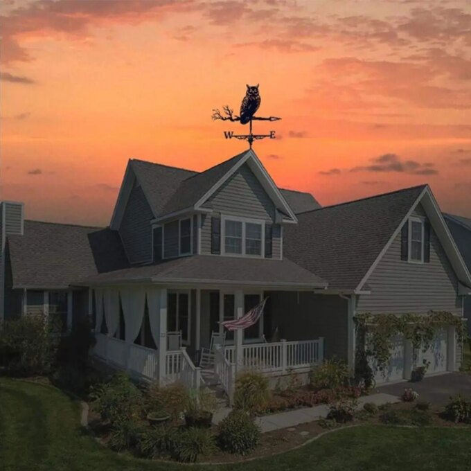 Creativity Owl Weather Vane Metal Roof Garden Decorations Wind Vane Black Outdoor Crafts Weathercock - Image 4