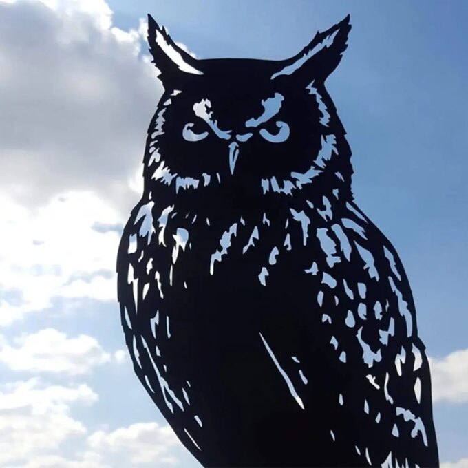 Creativity Owl Weather Vane Metal Roof Garden Decorations Wind Vane Black Outdoor Crafts Weathercock - Image 2