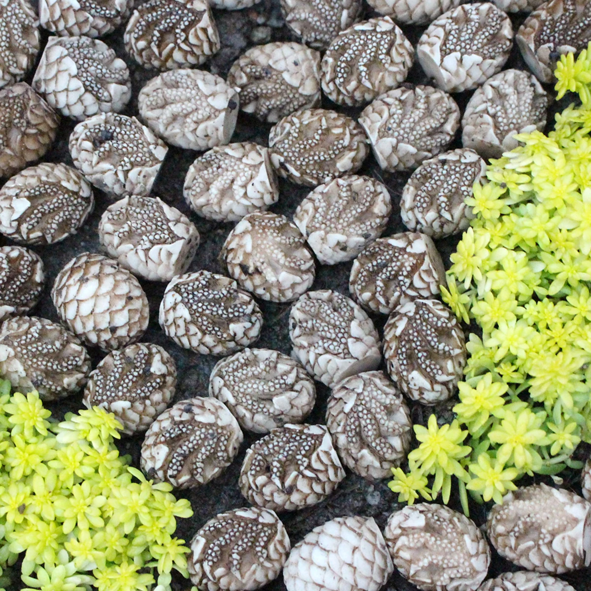 Resin Dinosaur Egg Paving Stone Set 20, Outdoor Flowerpot Paving Stone, Aquarium Decoration, Home Courtyard Decoration