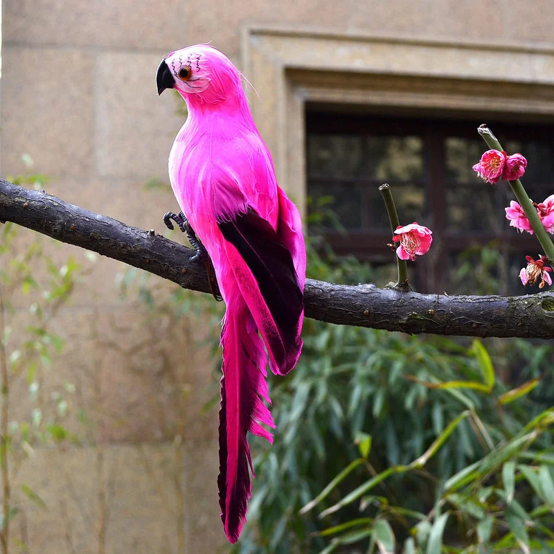 Parrot Pink 28cm