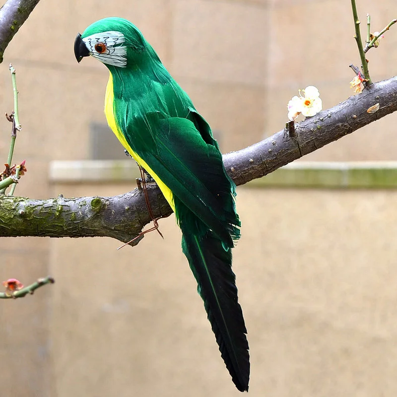 Parrot Green 28cm