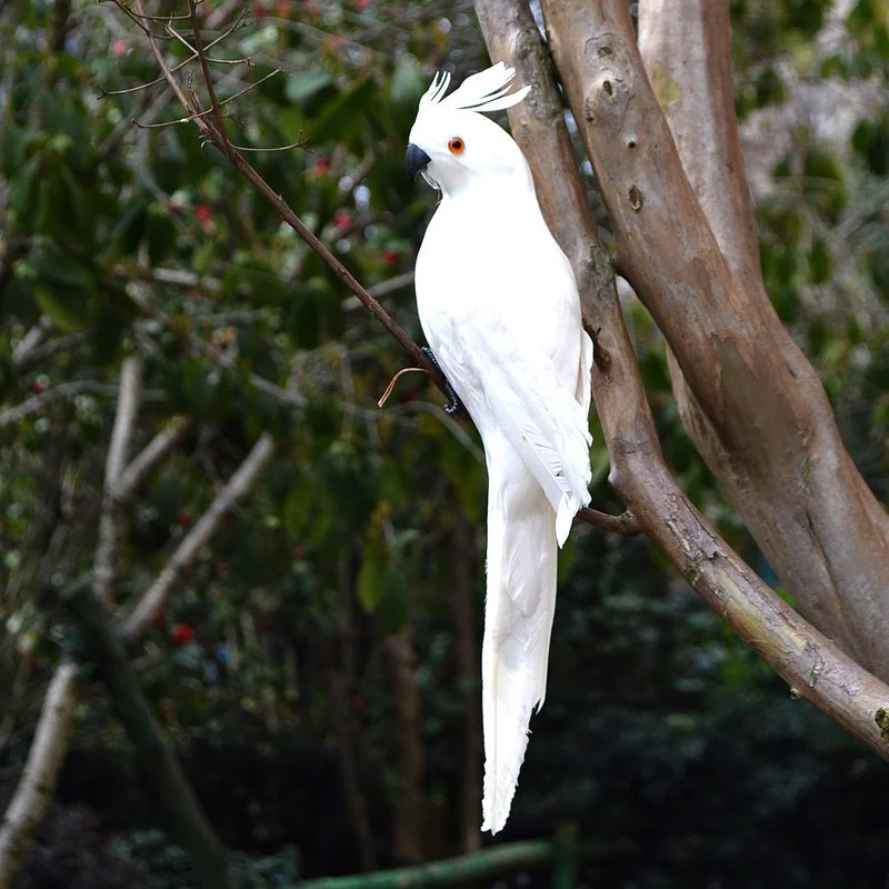Parrot White 28cm