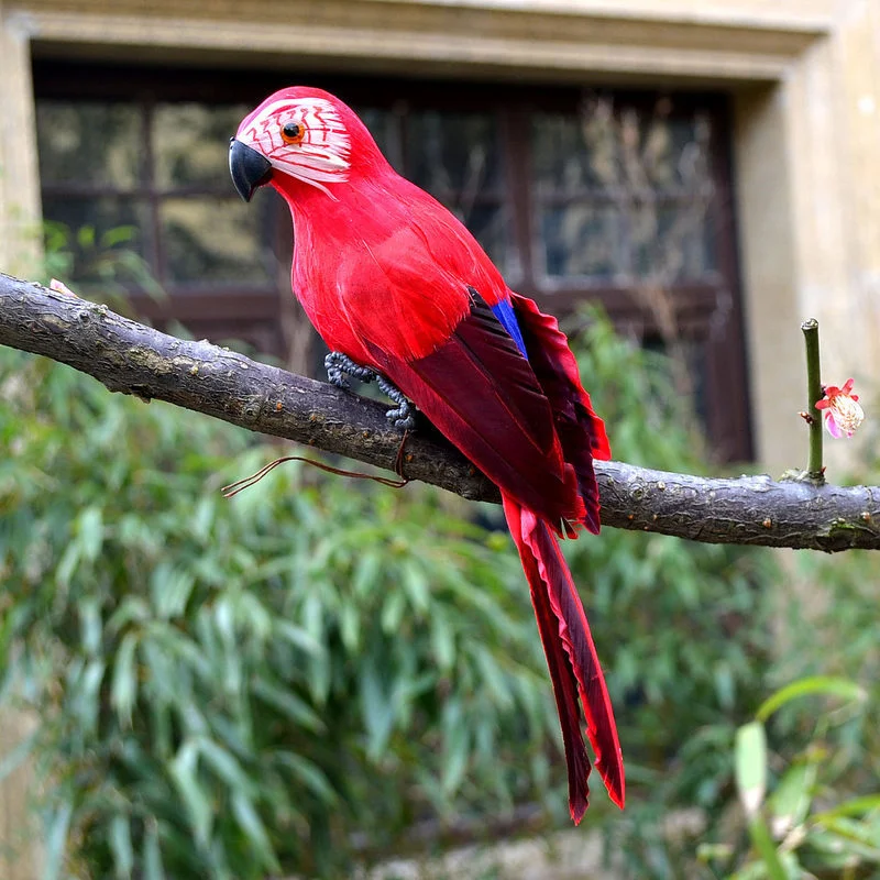 Parrot Red 28cm