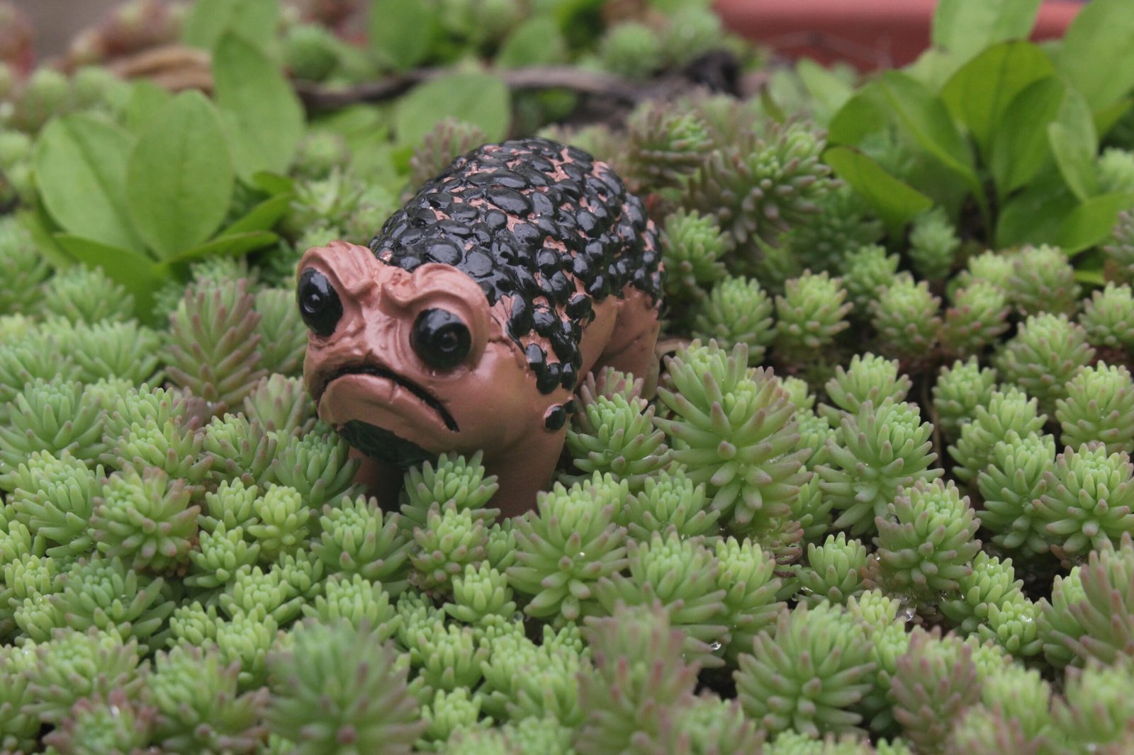 1 Piece of Unique African Rain Frog Resin Statue - Perfect for Halloween, Holiday Decoration and Garden Decoration. It Is a Ideal Gift for Art Enthusiasts.