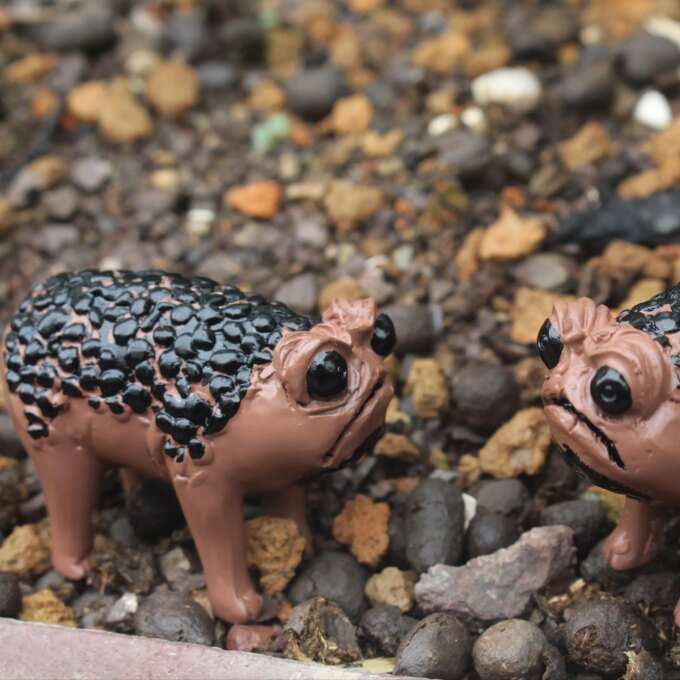1 Piece of Unique African Rain Frog Resin Statue - Perfect for Halloween, Holiday Decoration and Garden Decoration. It Is a Ideal Gift for Art Enthusiasts. - Image 2