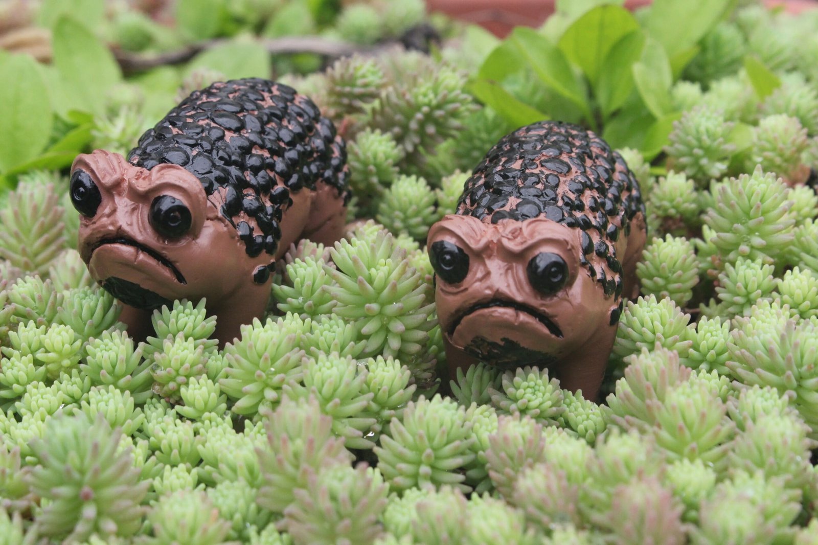 1 Piece of Unique African Rain Frog Resin Statue - Perfect for Halloween, Holiday Decoration and Garden Decoration. It Is a Ideal Gift for Art Enthusiasts.