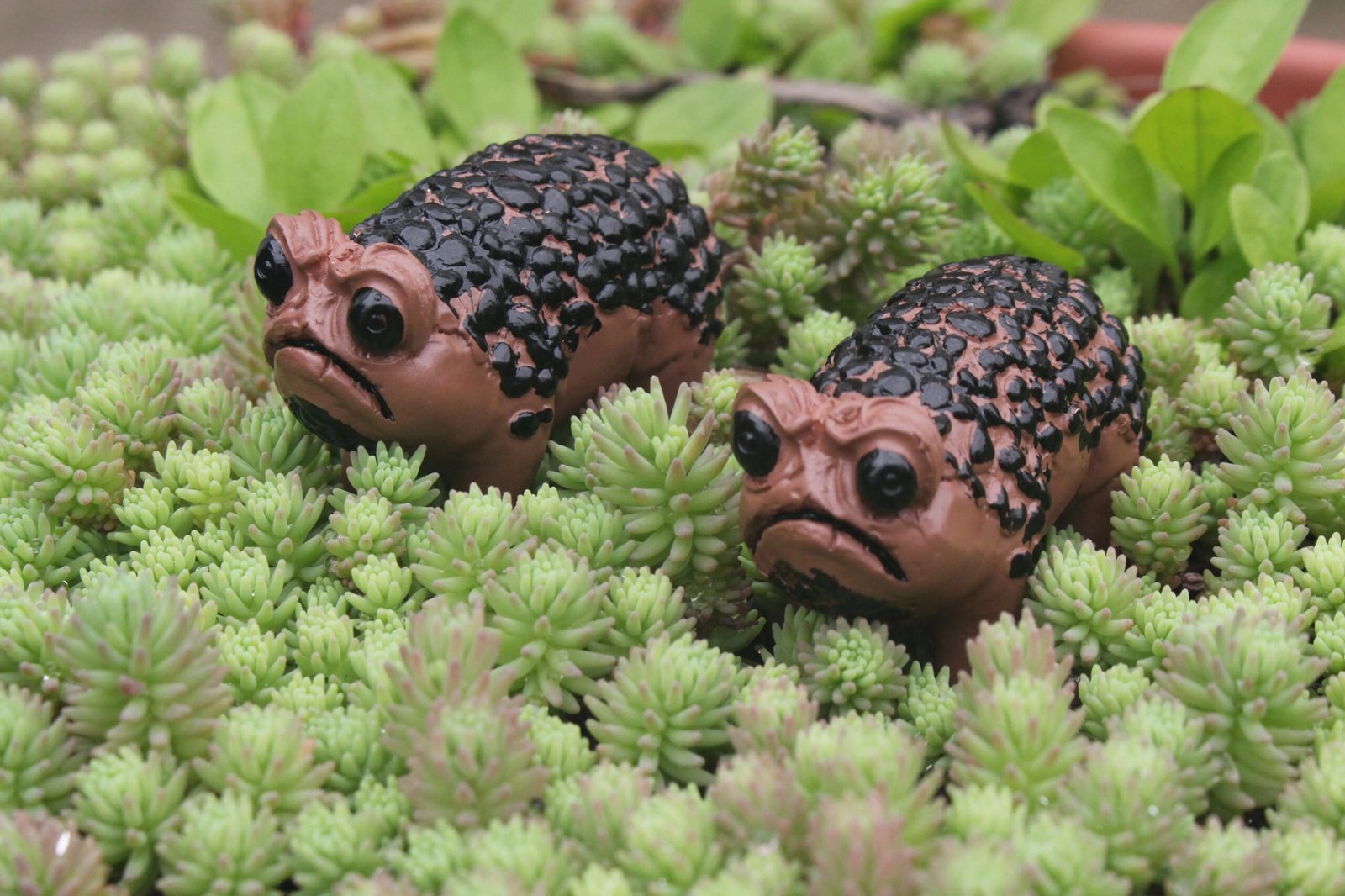 1 Piece of Unique African Rain Frog Resin Statue - Perfect for Halloween, Holiday Decoration and Garden Decoration. It Is a Ideal Gift for Art Enthusiasts.