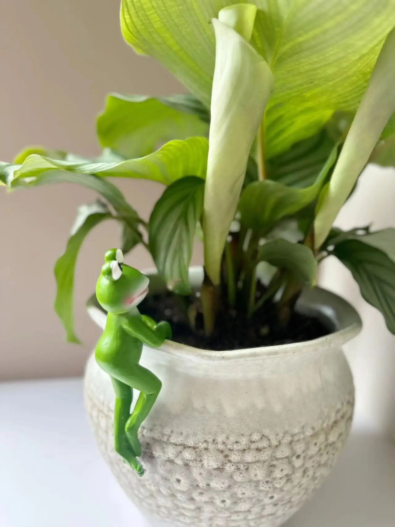 Courtyard bonsai ornaments decorative creative cartoon frog hanging creative animal resin crafts
