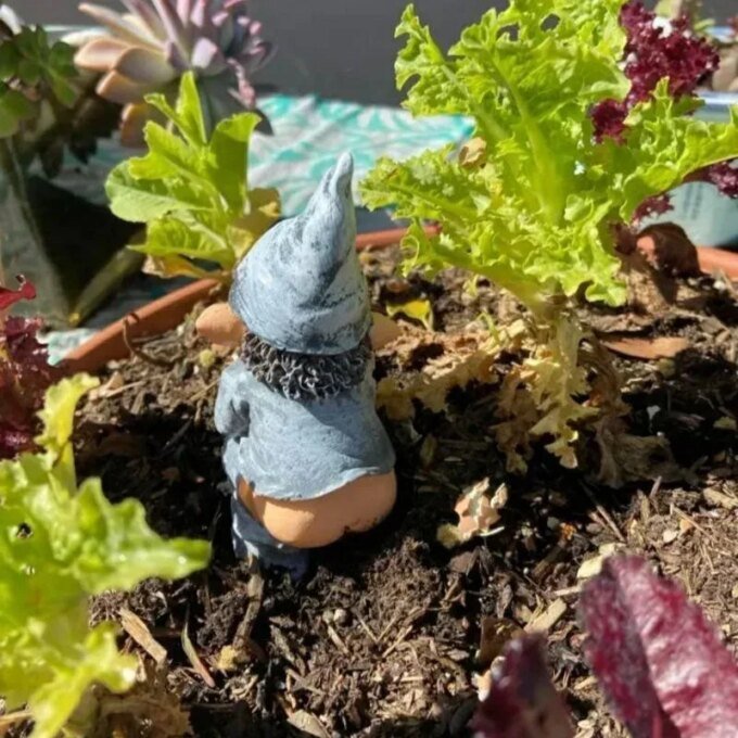 Outdoors Resin Statue Naughty Knome Figurine Lawn Ornament Dwarf Sculpture Balcony Patio Yard Landscape Porch Garden Decorations - Image 2