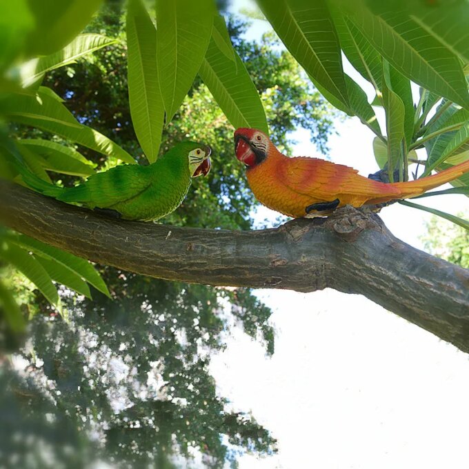 Resin Parrot Statue Wall Mounted DIY Outdoor Garden Tree Decoration Animal Sculpture For Home Office Garden Decor Ornament - Image 5