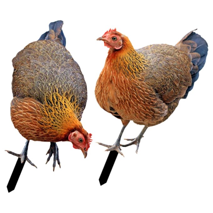 2 Pcs Outdoor Decorations Decorative Garden Inserts Chicken for Patio and Yard Ground Plug Simulation Lawn Ornament Ornaments - Image 2