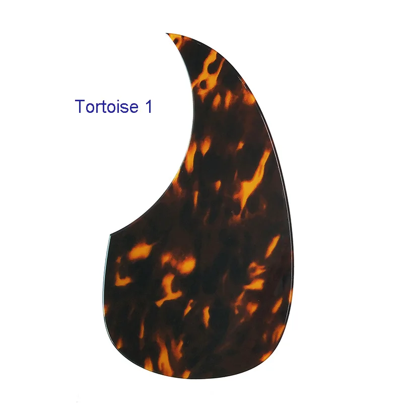 Tortoise 1