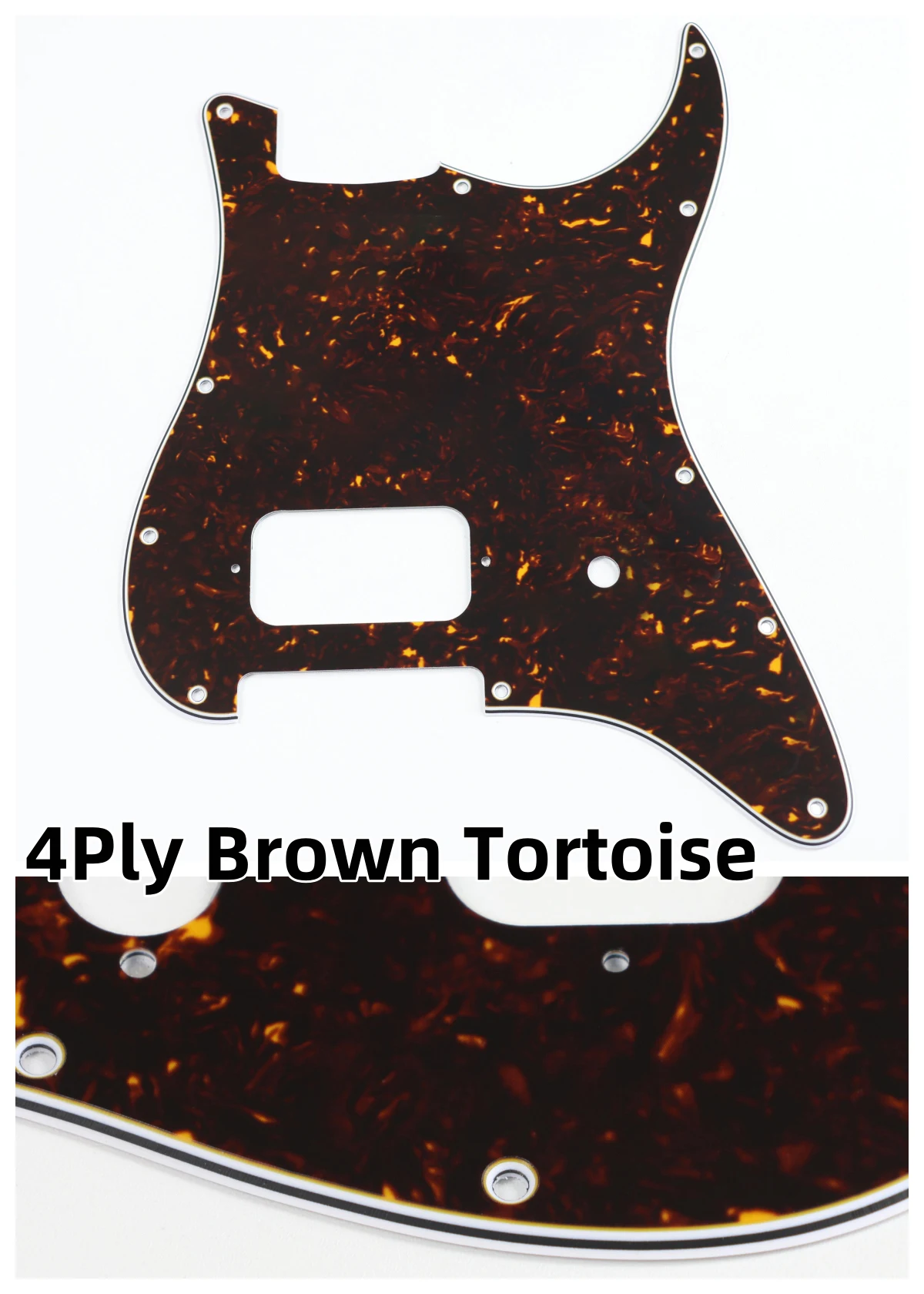 brown tortoise