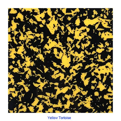 Yellow Tortoise